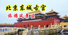好吊肏屄视屏美日韩中国北京-东城古宫旅游风景区